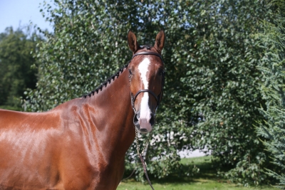 JR d'Everquine